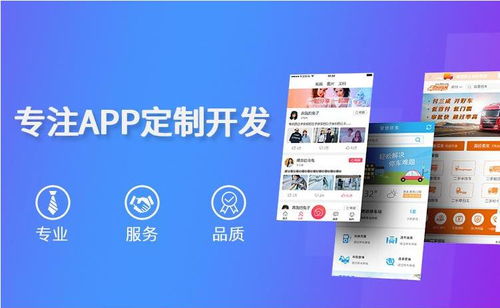 怎么才能找到成都app定制开发公司